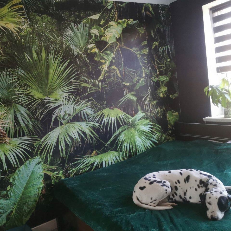www.smallart.pl FOTOTAPETA DŻUNGLA 3D ZIELONE LIŚCIE NATURA LAS TROPIKALNY TAPETA jungla dla dorosłych na wymiar do sypialni salonu jadalni (1)