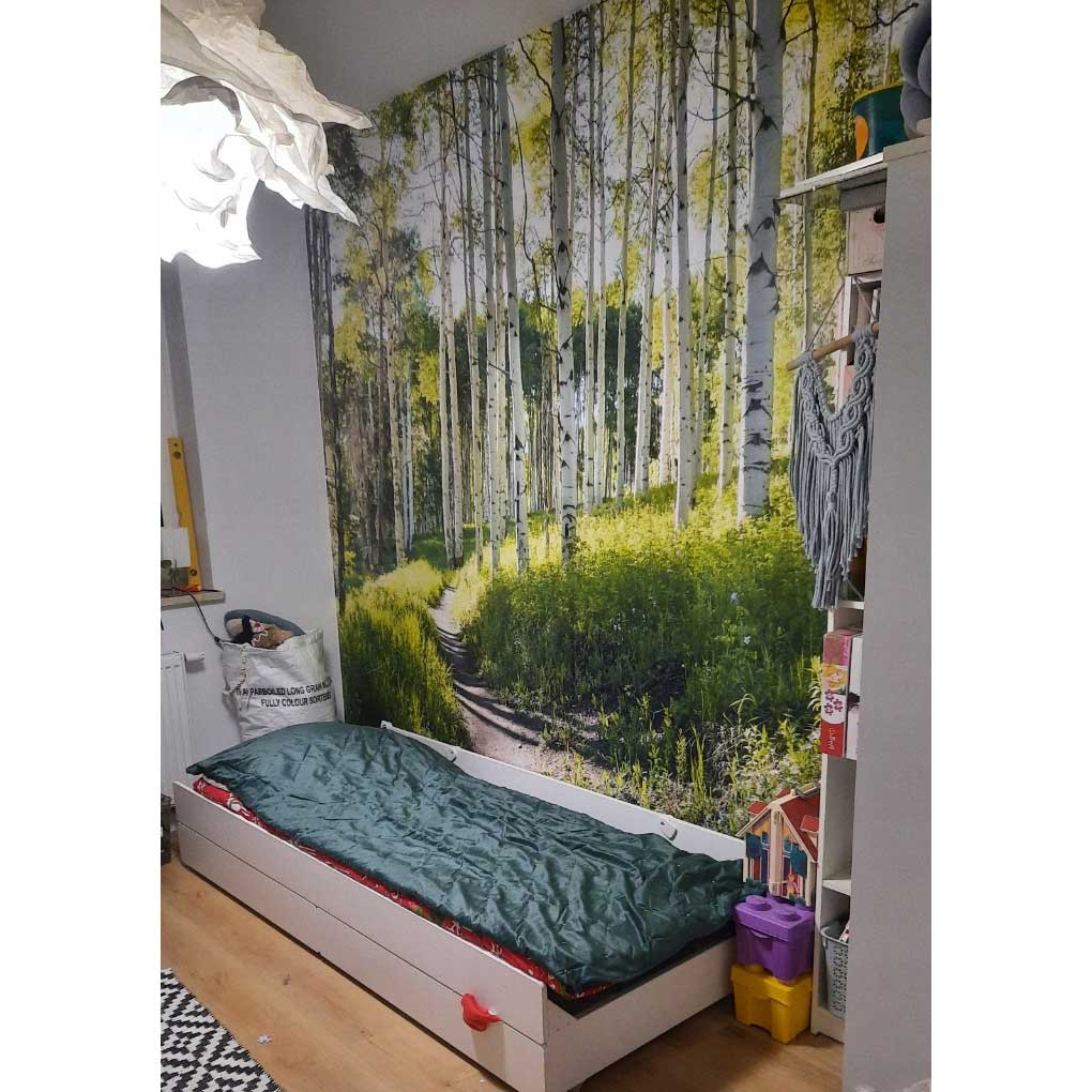 www.smallart.pl FOTOTAPETA LAS BRZOZOWY SŁONECZNY DO SYPIALNI SALONU TAPETA ŚCIENNA brzozy brzoza lasek natura (1)